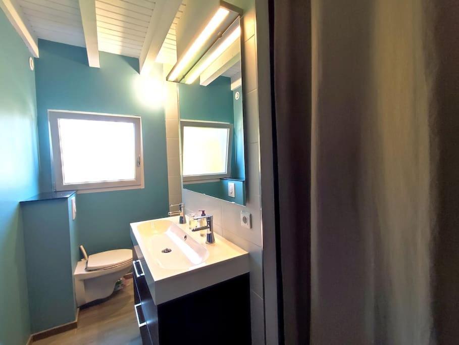 La Salixienne Maison 6/7 Pers Saulcy-sur-Meurthe Kültér fotó